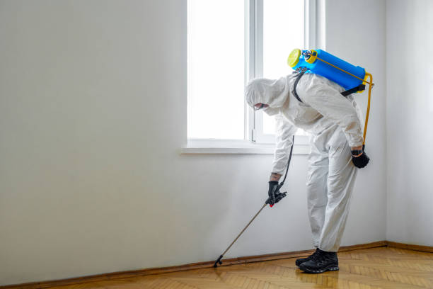 Best Organic or Eco-Friendly Pest Control  in Chandler, IN